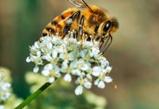 Exposition « Photos nature »