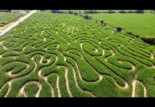 Labyrinthe végétal du Cotentin > La Clé des Champs
