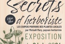 Exposition « Secrets d’herboriste, les (super) pouvoirs des plantes locales » – Manoir du Tourp